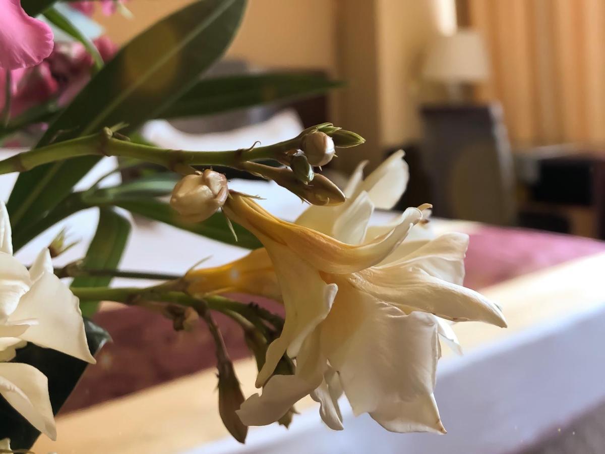Hotel Arifi Shkodër エクステリア 写真