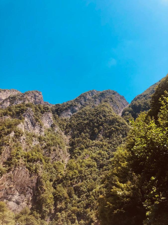 Hotel Arifi Shkodër エクステリア 写真